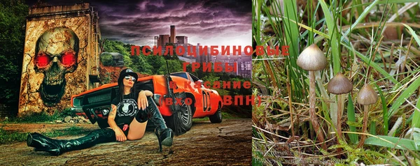меф Алексин