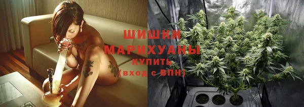 шишки Покров